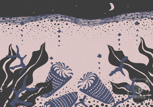 Moonlit Cone Snail TAMARUSAN