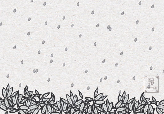 Rain Falling on Kumazasa TAMARUSAN