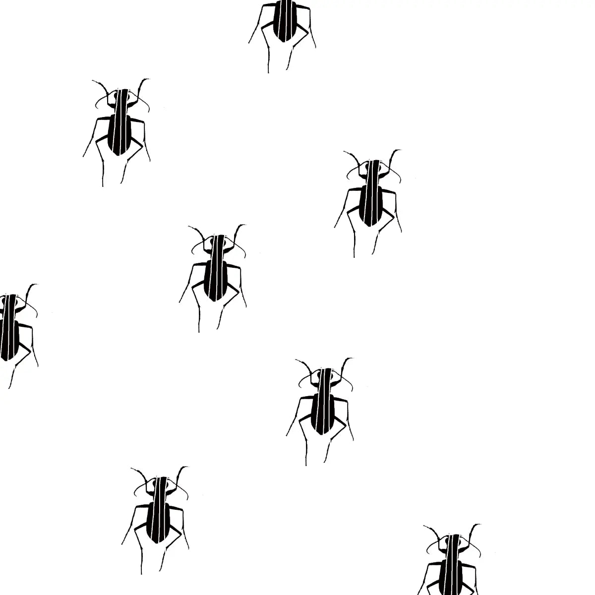 Special Products & Repair TAMARUSAN