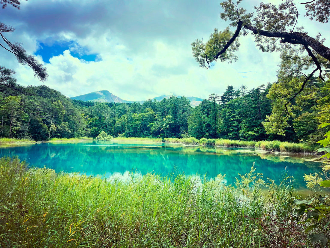 A Summer Trip to Aizuwakamatsu