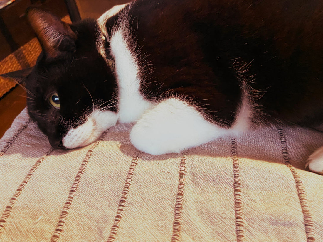 Manager Jiro Has Megacolon