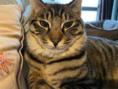 Our New Manager Has Arrived