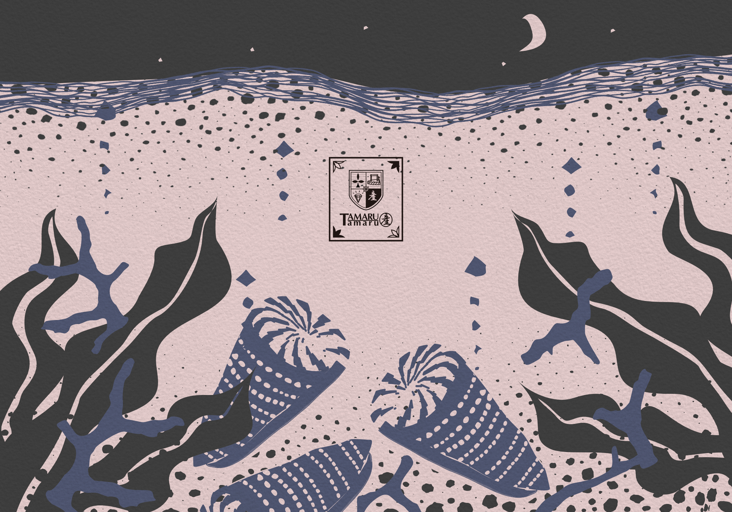Moonlit Cone Snail TAMARUSAN