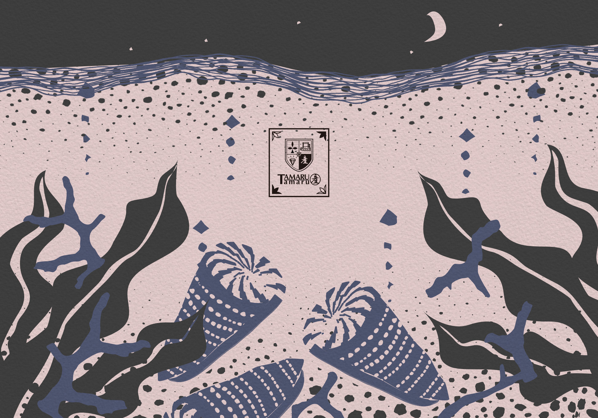 Moonlit Cone Snail TAMARUSAN