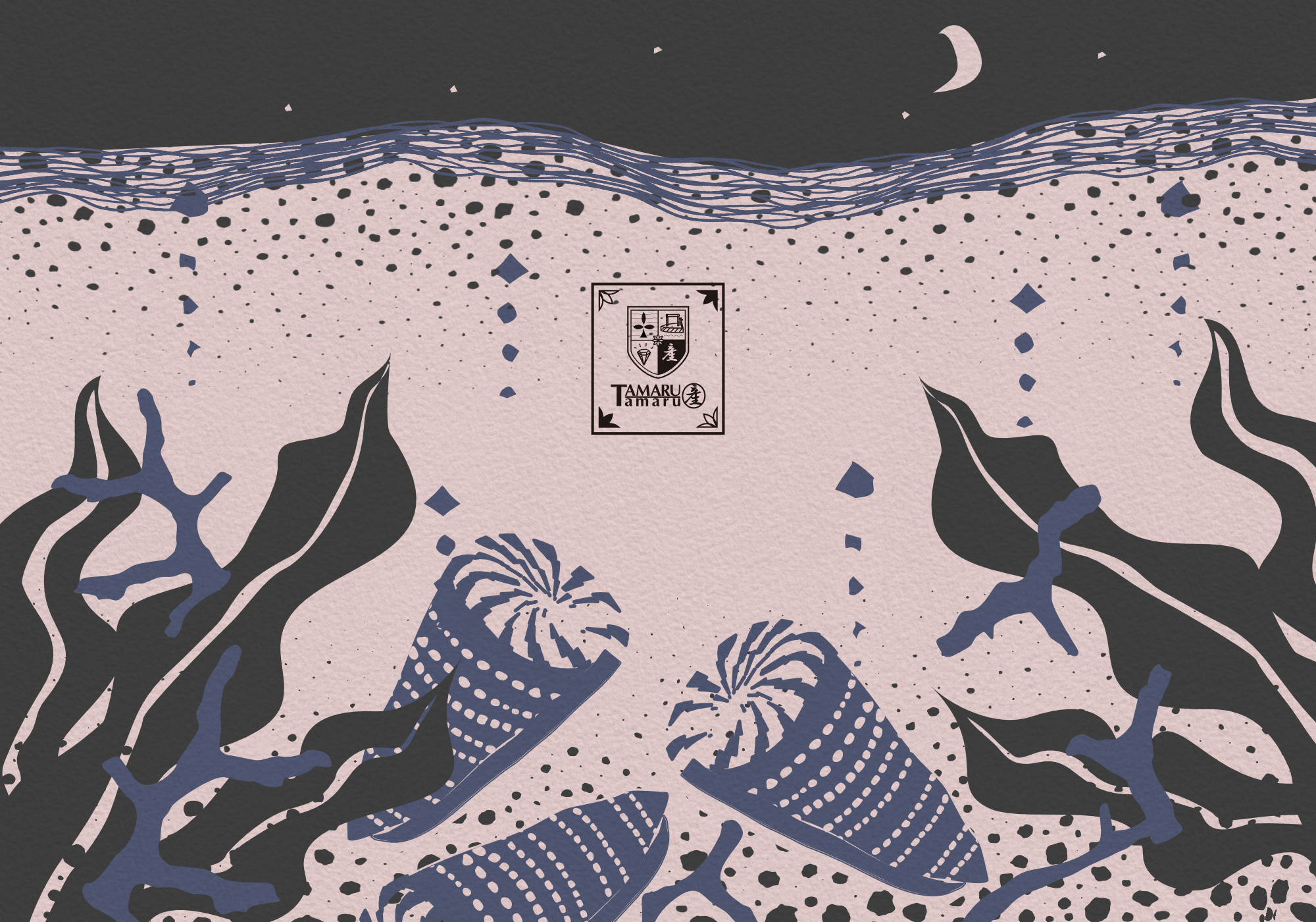 Moonlit Cone Snail TAMARUSAN