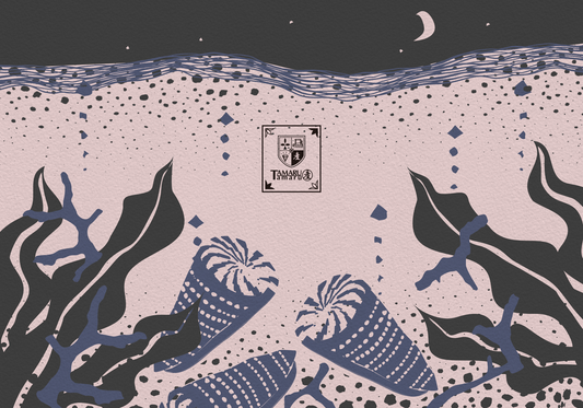 Moonlit Cone Snail TAMARUSAN