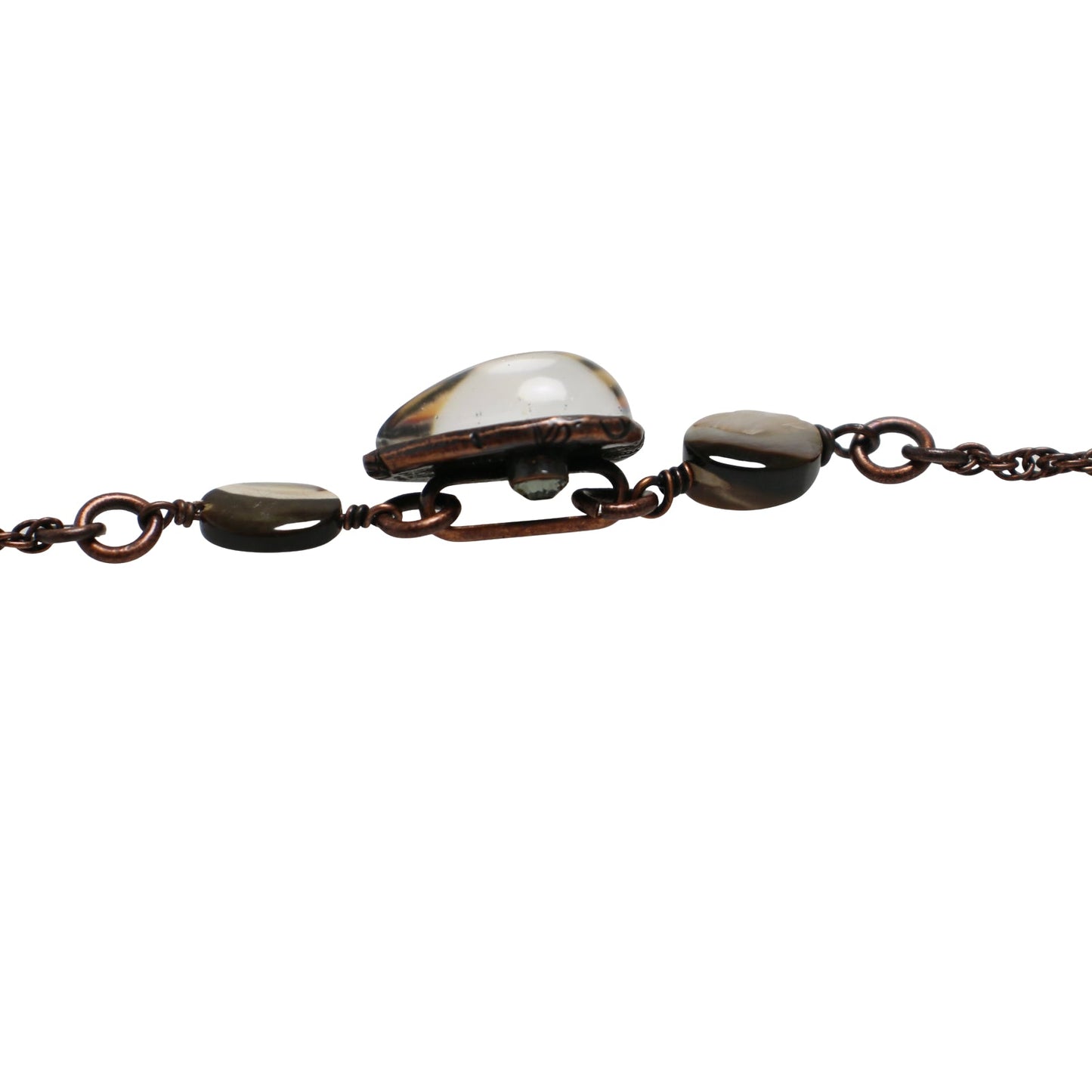 Eyeglass Chain Shell Simple Brown TAMARUSAN