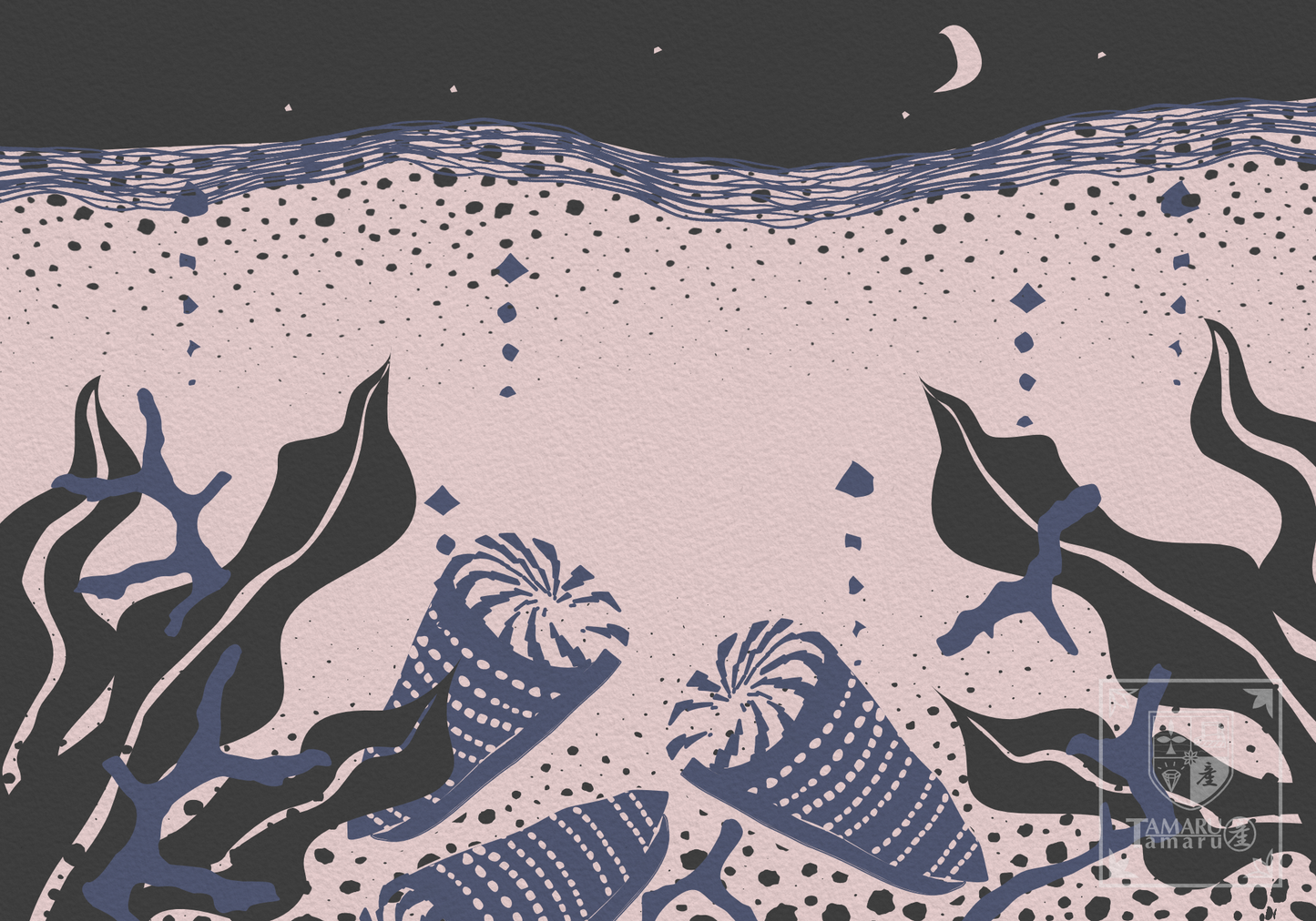 Moonlit Cone Snail TAMARUSAN