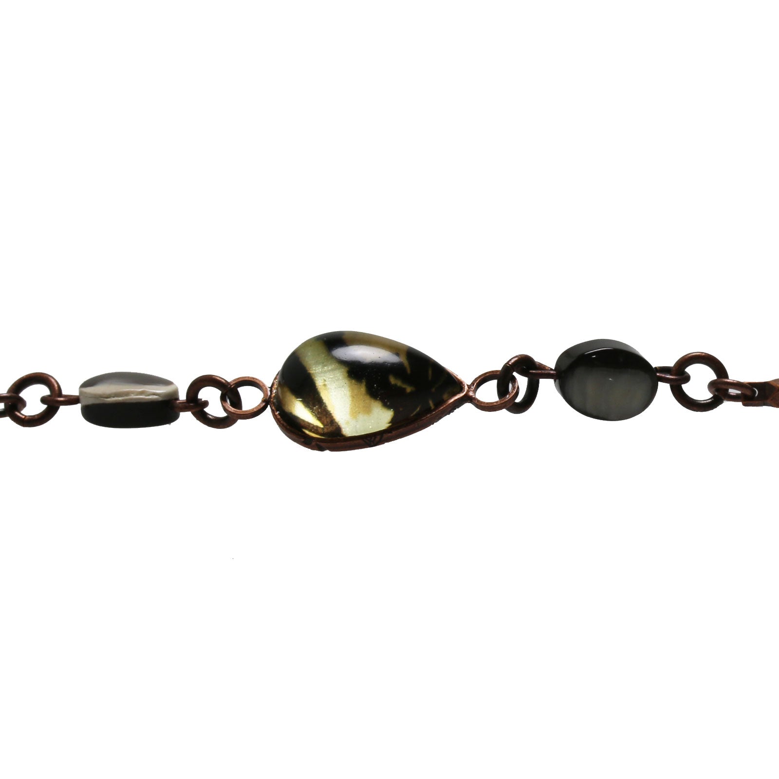 Eyeglass Chain Shell Simple Brown TAMARUSAN